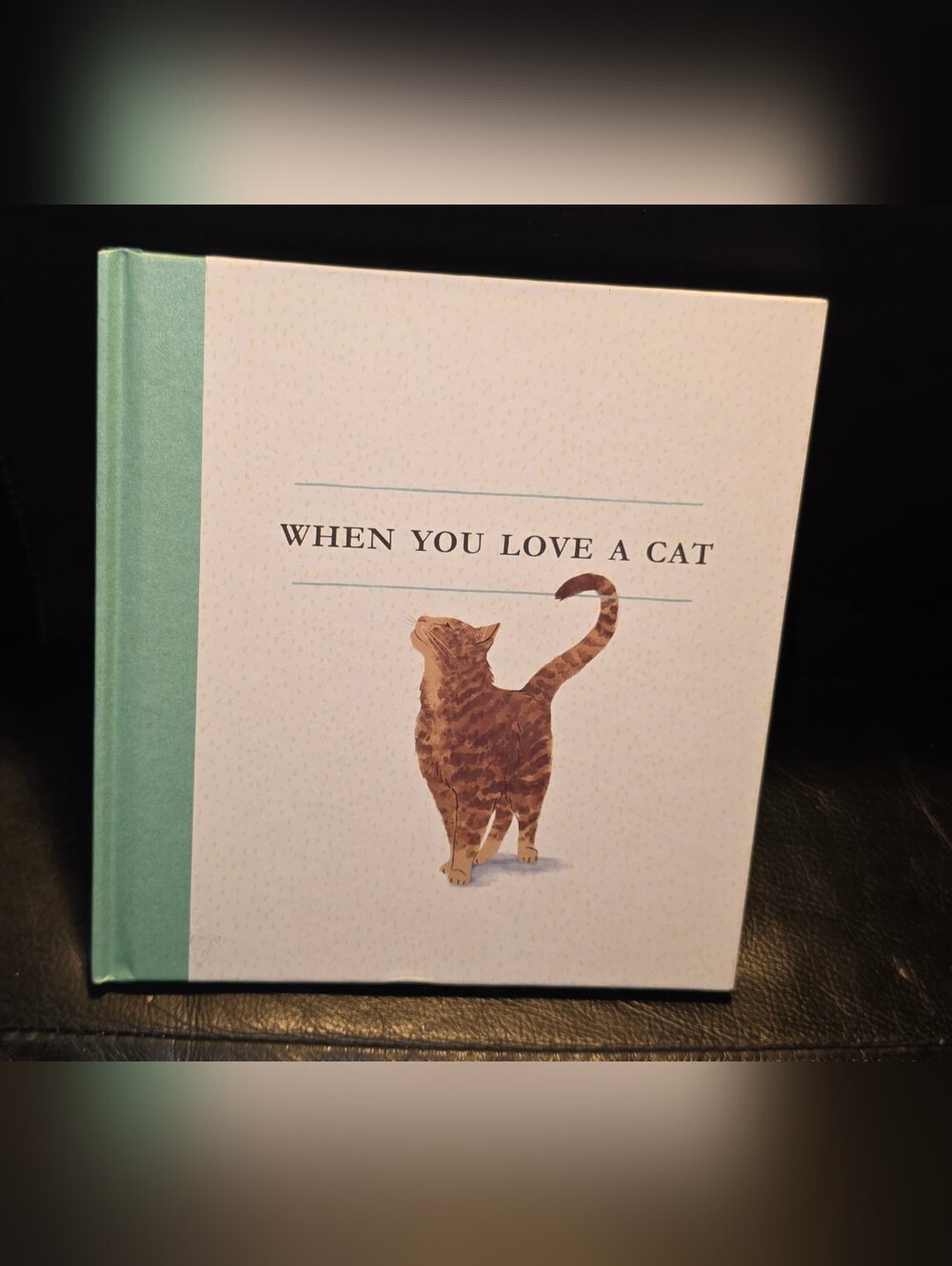 When You Love A Cat Book